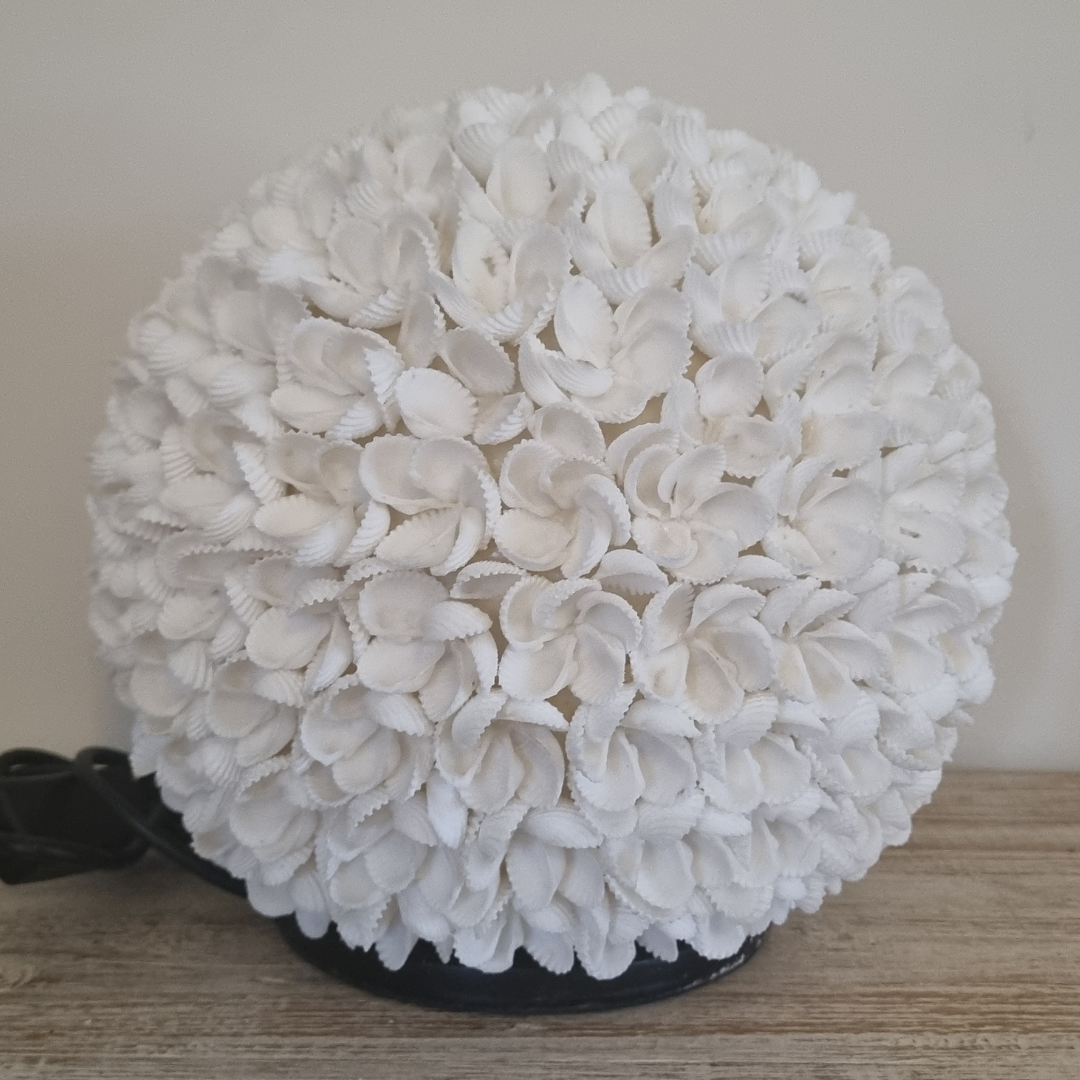 Set on a tabel top on a  dark base, on a wooden shelf