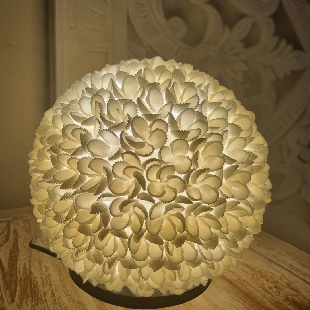Design is set dark base, overhead view showing dense layered shell arrangement
