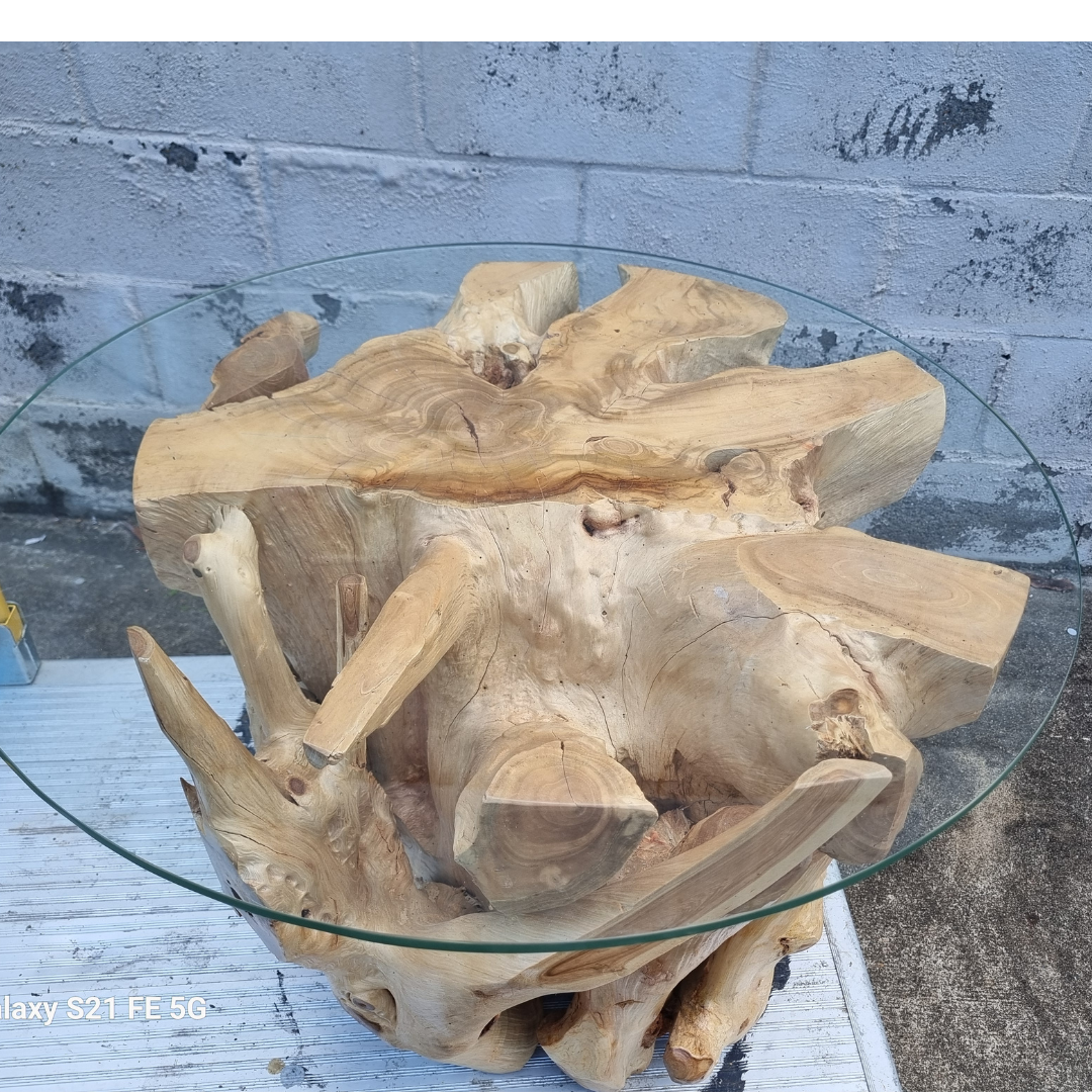 Front view of round teak root coffee table with bleached natural whitewash root cluster base showing dramatic twisted and branching root forms, natural cracks and knots, with clear tempered glass top, shot against a deep black background highlighting the sculptural organic structure