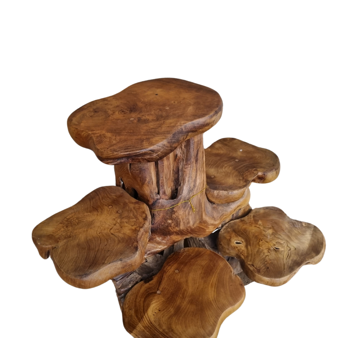 Teak root wood plant display stand side view showing natural grain, organic curves and live-edge shelves
