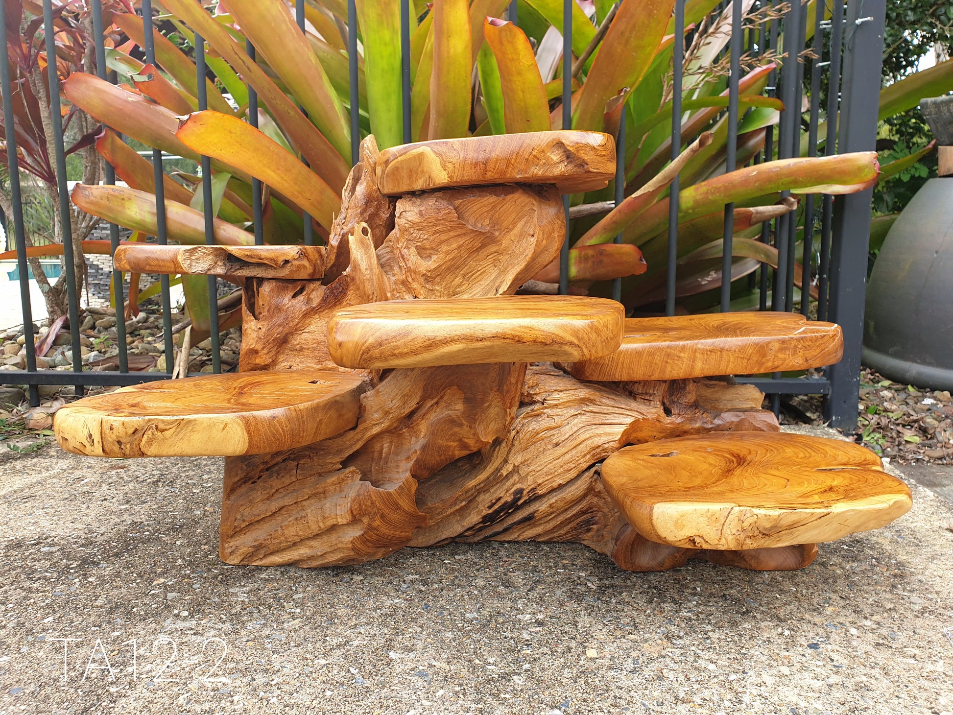 Wooden display table made from tree roots with plants in the background
