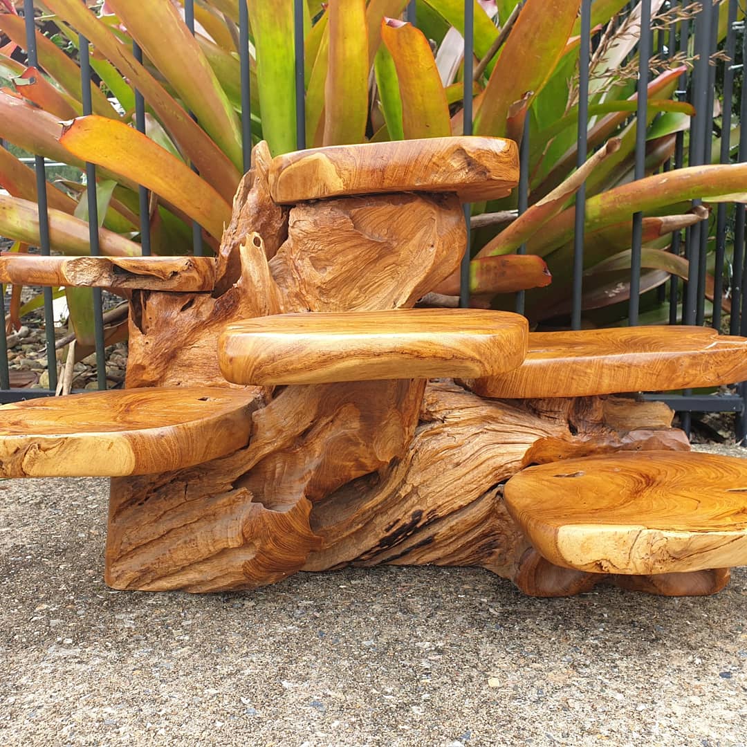 Teak root wood plant display stand outdoors showing warm honey tones and sculptural twisted grain against tropical bromeliad plants
