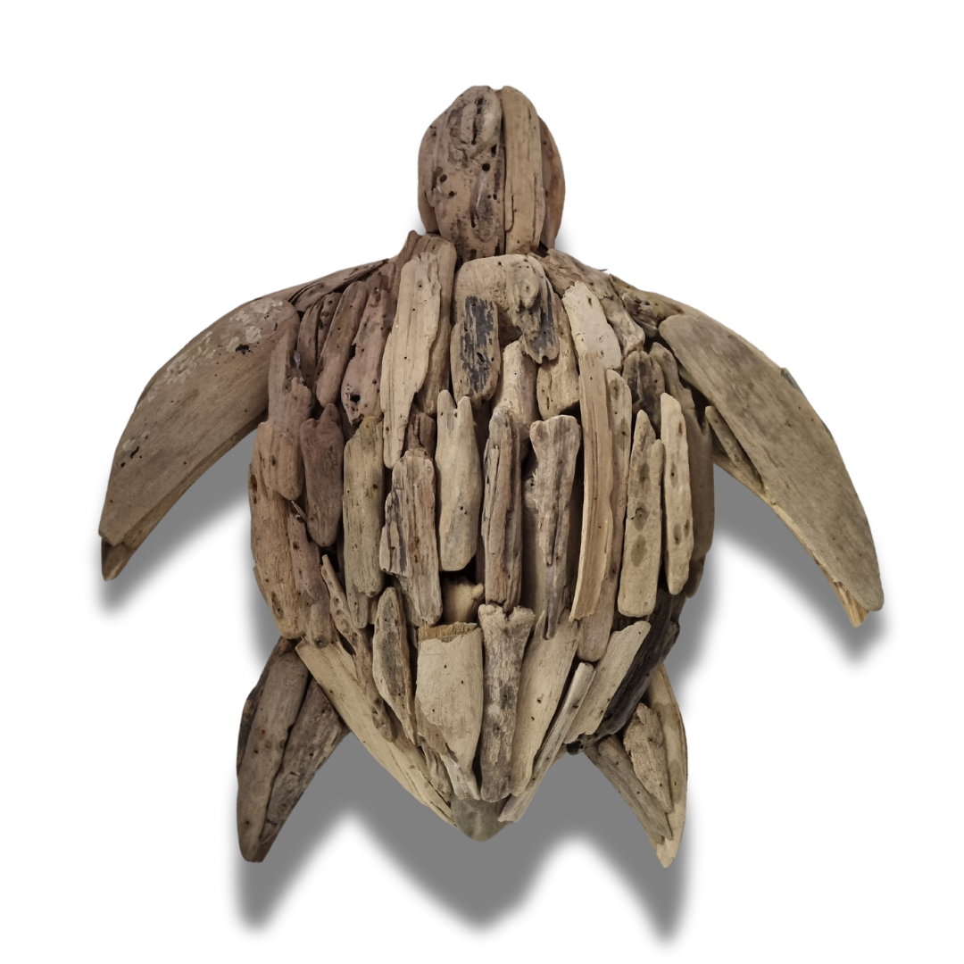 Handcrafted turtle driftwood wall art on a white wall, natural wooden sculpture