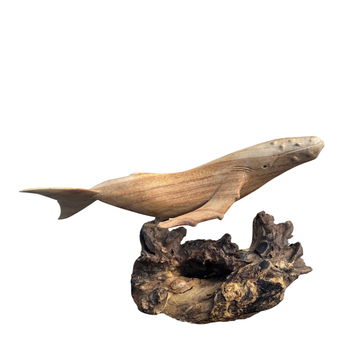 Front-angle view of a hand-carved wooden humpback whale sculpture mounted on a textured dark driftwood base, showing the carved belly ridges and pectoral fins