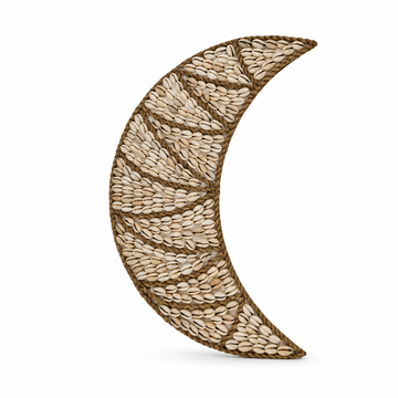 Natural cowrie-covered design shown front-on against a plain white background