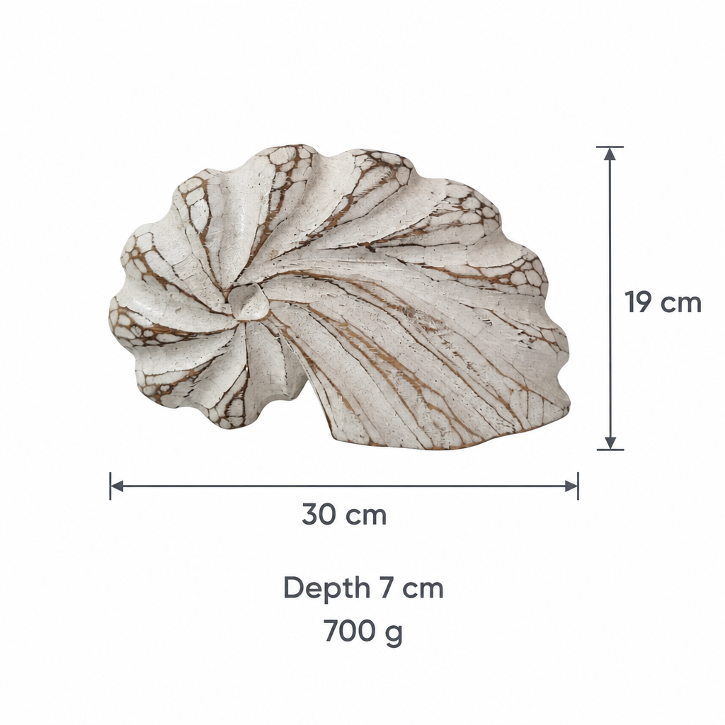 A decorative seashell-shaped wall piece shown on a white background with dimension labels: 30 cm wide, 19 cm tall, depth 7 cm, and weight 700 g.
