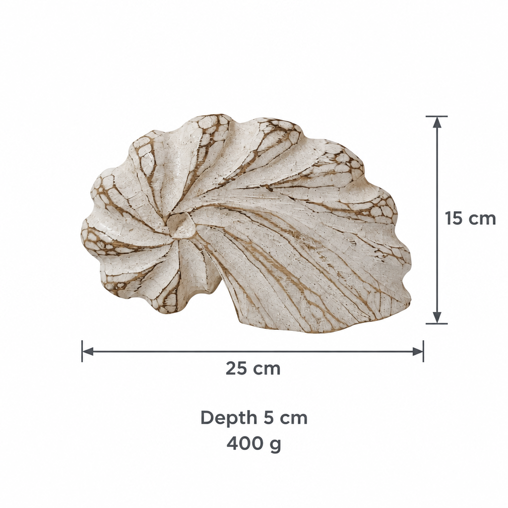 A shell-shaped decorative object shown on a white background with dimension labels: 25 cm across the top, 15 cm tall on the right, and text below reading 5 cm depth and 400 g.