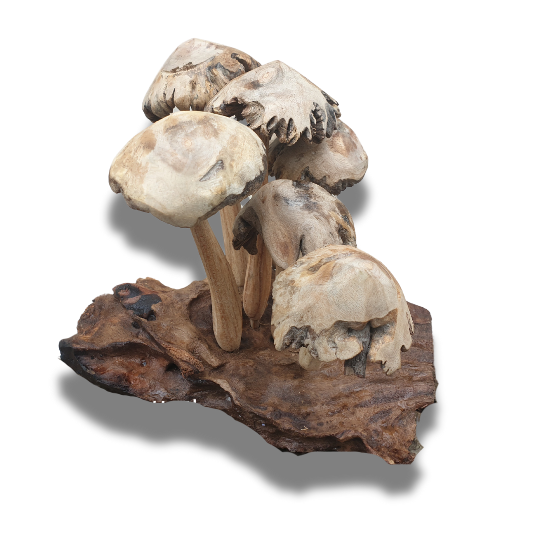 A hand-crafted wooden mushroom art pieces on natural driftwood bases.