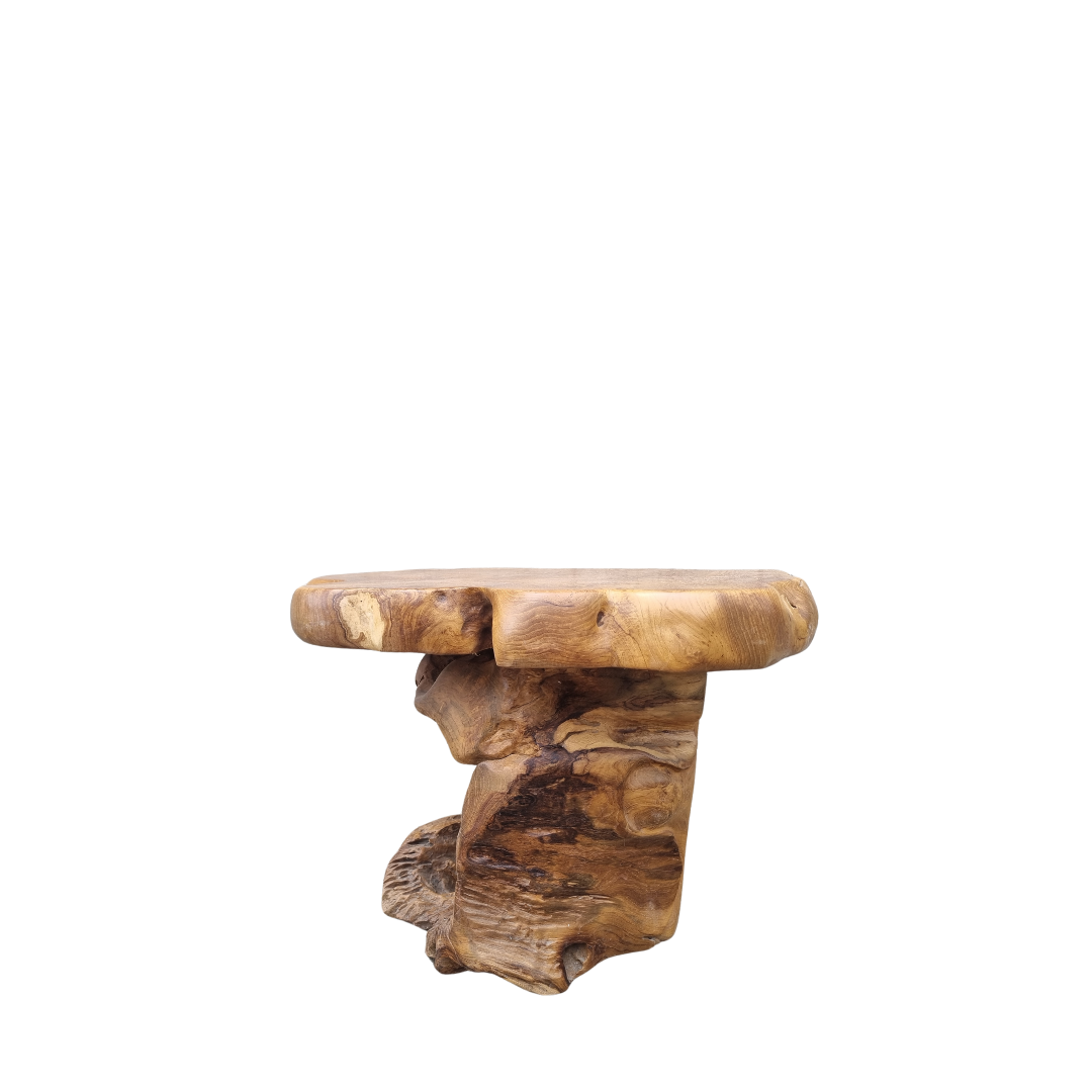 Root Wood Coffee Table