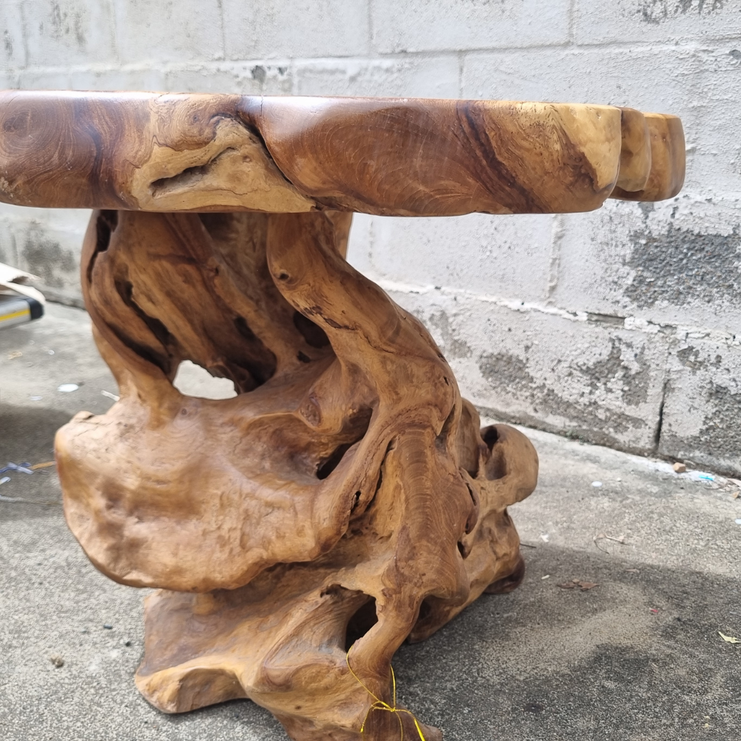 Root Wood Coffee Table