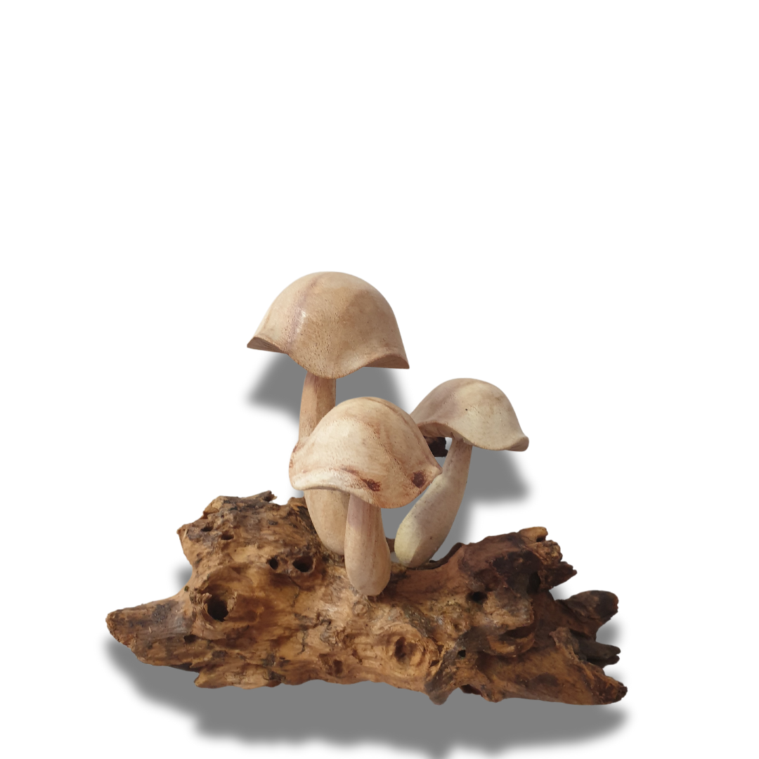 Wooden Mushrooms Carving 3 Stool Design