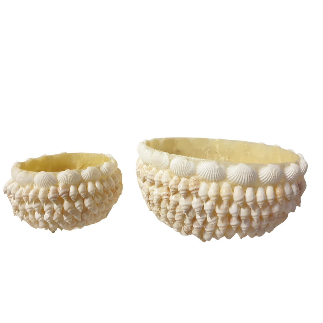 Shell Bowl Decor Set