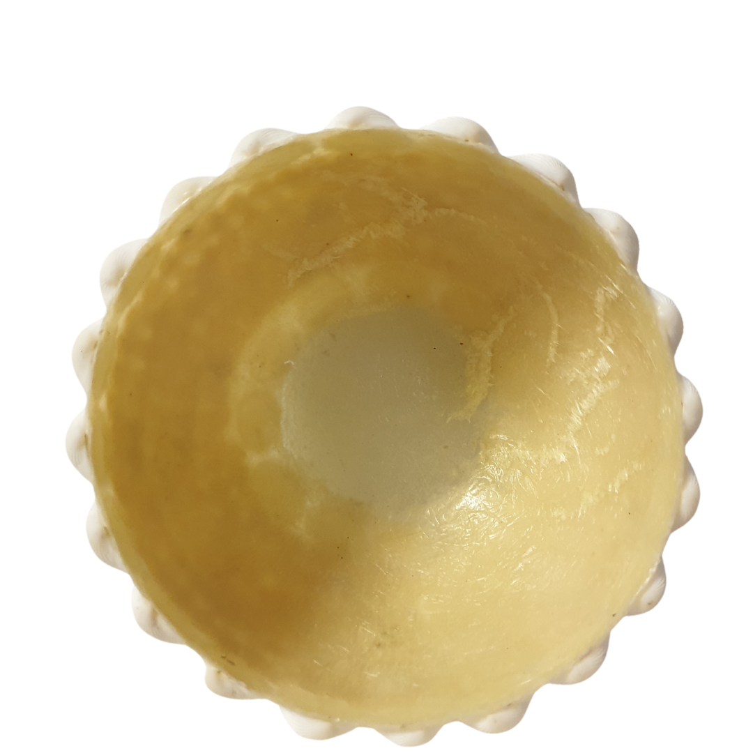 Shell Bowl Decor Set