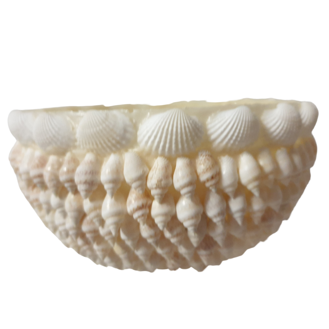 Shell Bowl Decor Set