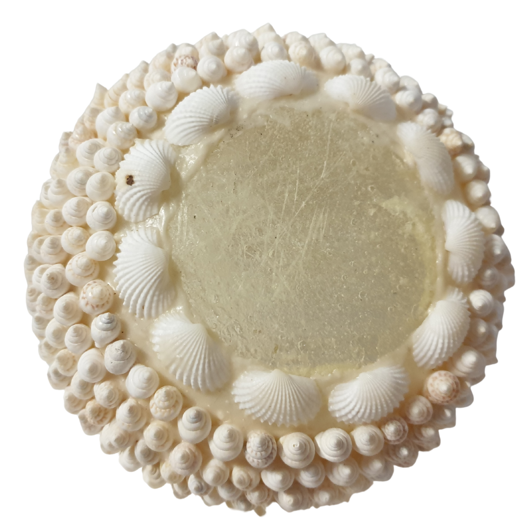 Shell Bowl Decor Set