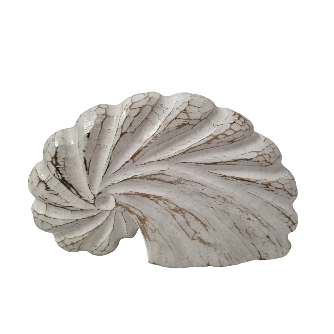 larger Nautilus Shell Wooden Decor – White Wash spiral carving detail