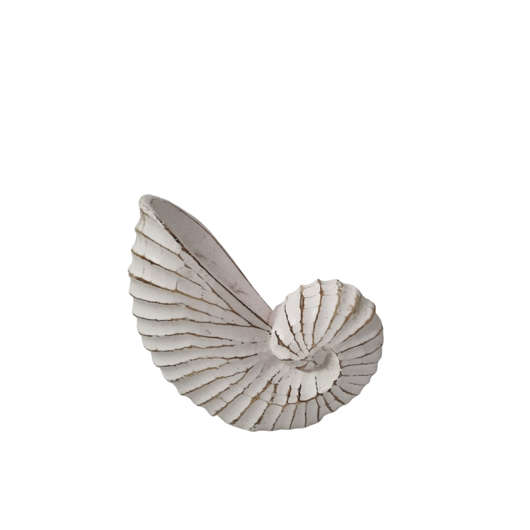 white rustic wash nautilus shell wooden carving large design 