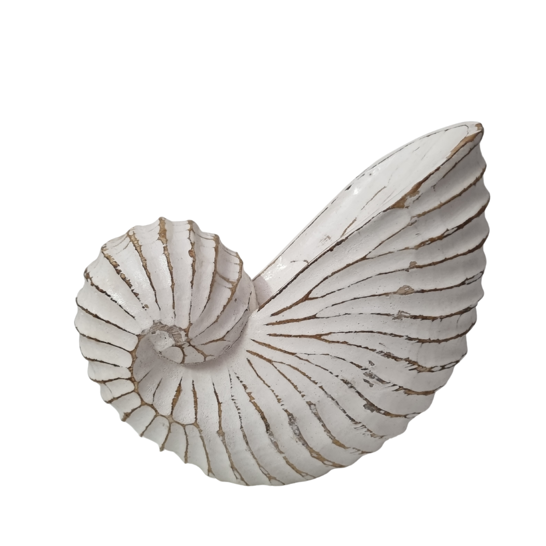 large Nautilus Shell Wooden Decor – White Wash spiral carving detail
