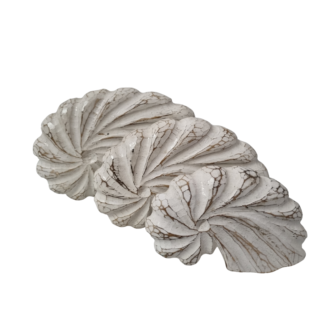 Nautilus Shell Wooden Decor – White Wash spiral carving detail