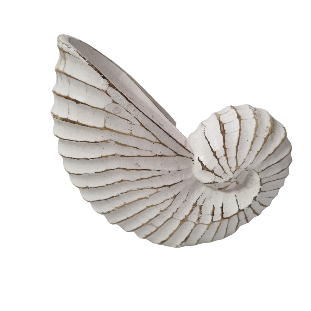 Nautilus_Shell_Wooden_Decor closeup photo of wooden shell carving