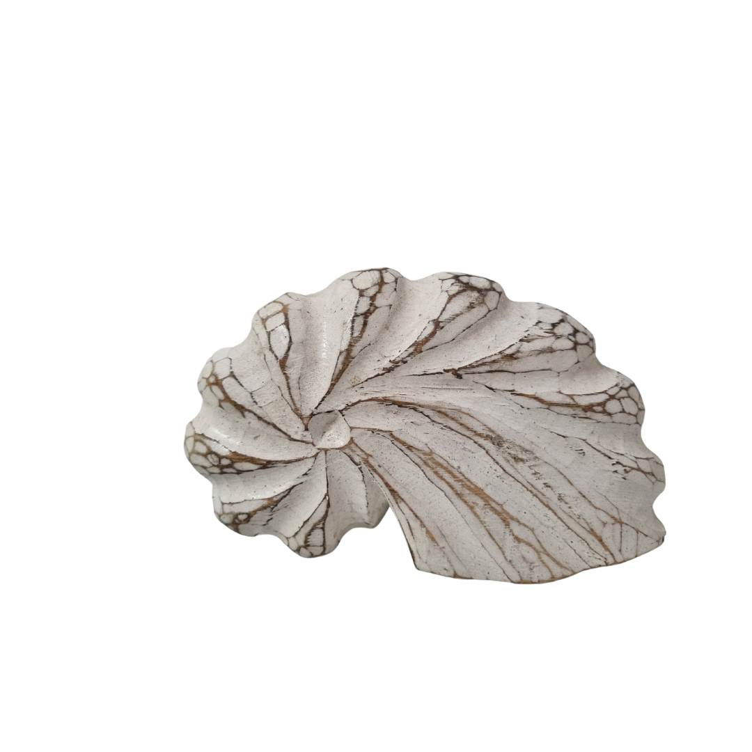 single Nautilus Shell Wooden Decor – White Wash spiral carving detail
