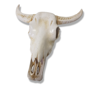 Cow skull resin art 