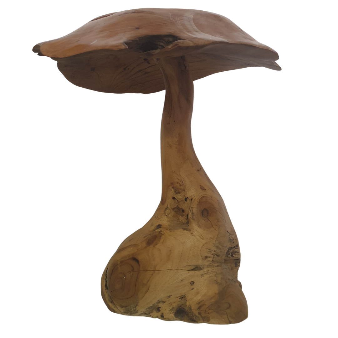 Fungi Décor (Mushroom Décor)