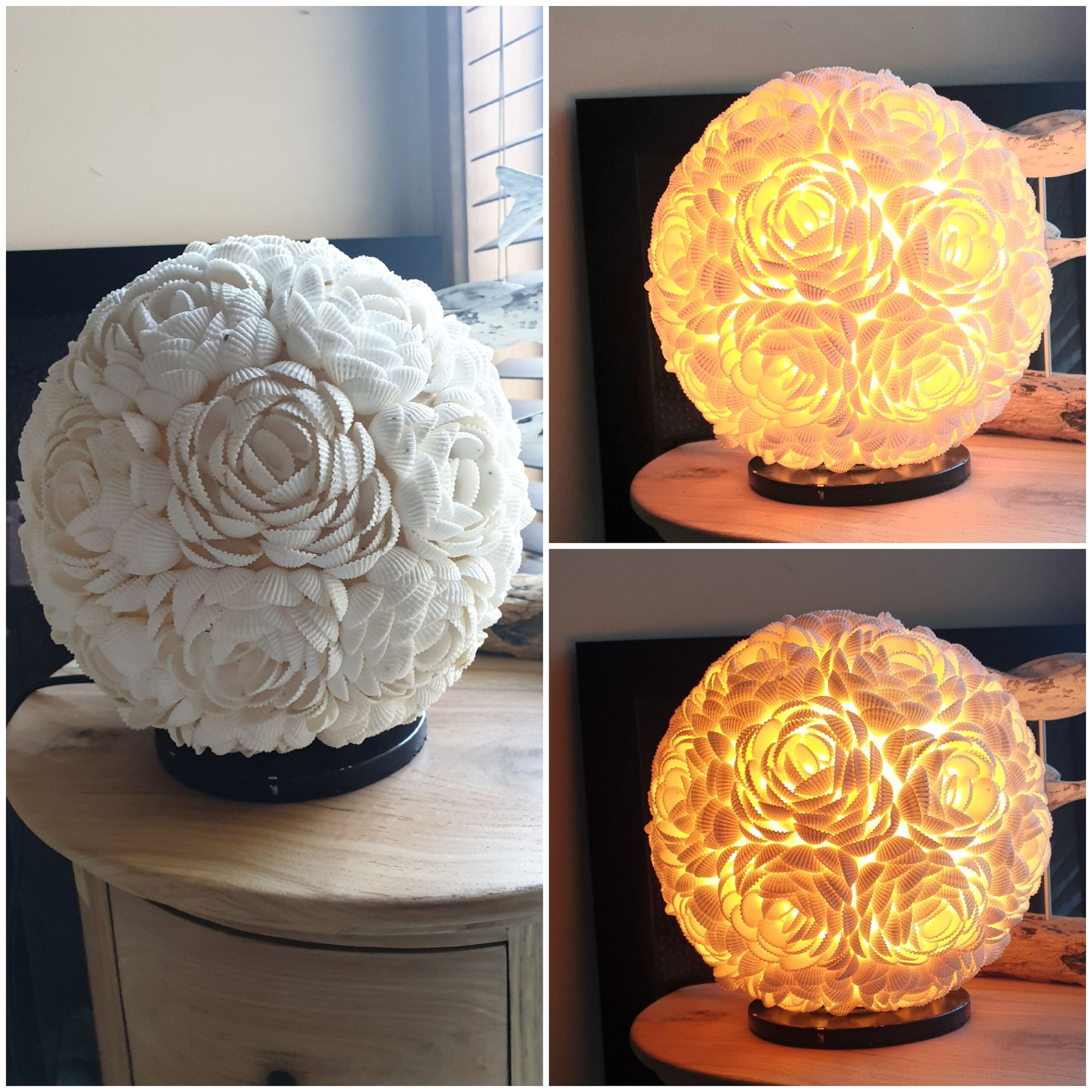 Table Lamp Rose Shell Design sitting on a timber surface, white shells in a rose pattern, power cord visible