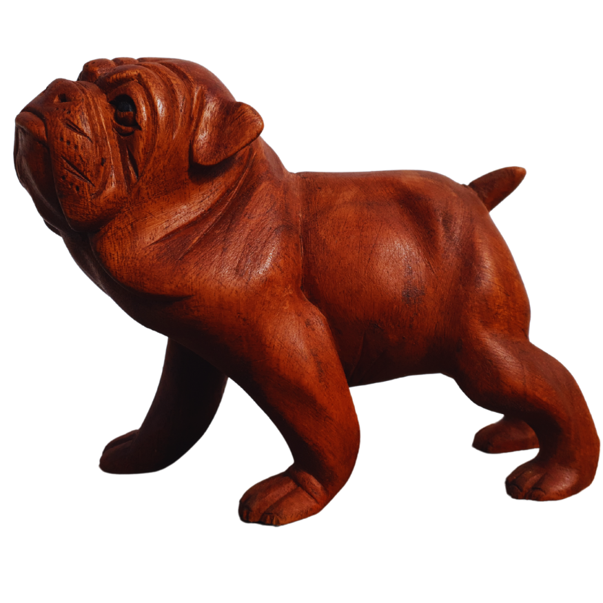 Bull Dog Side view